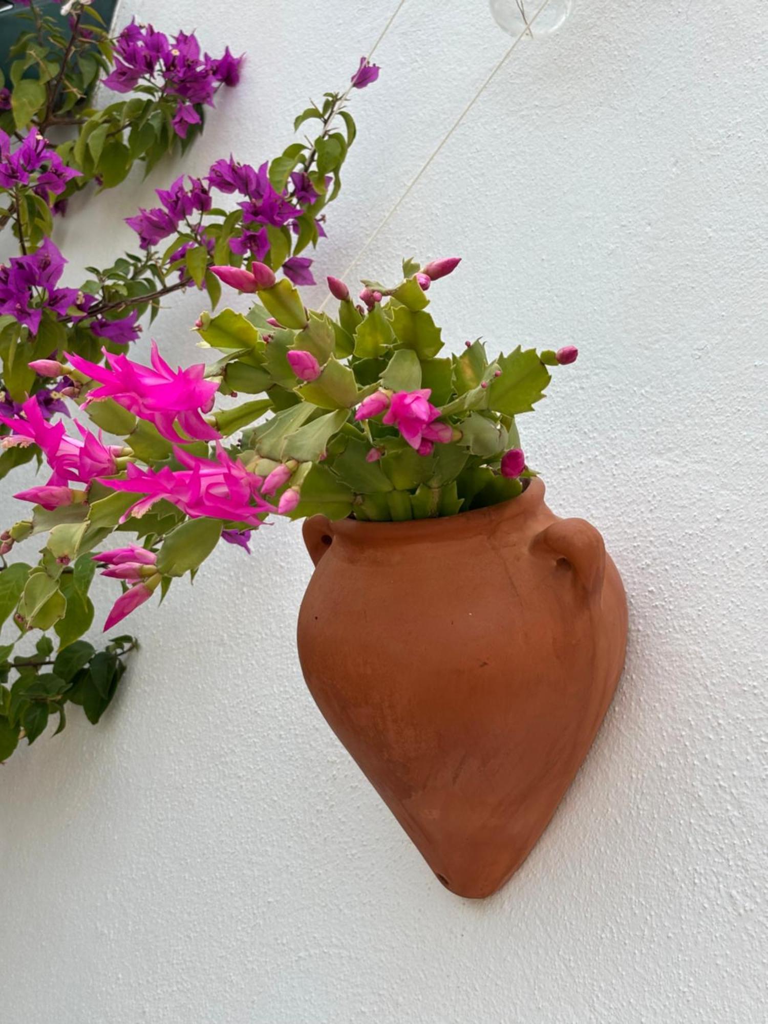 Casa Alta B&B Торокс Екстериор снимка