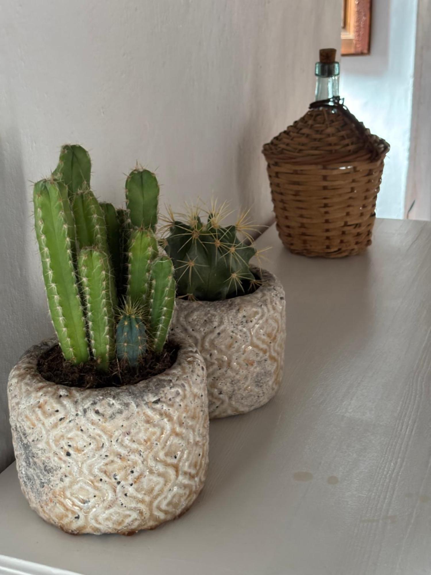 Casa Alta B&B Торокс Екстериор снимка