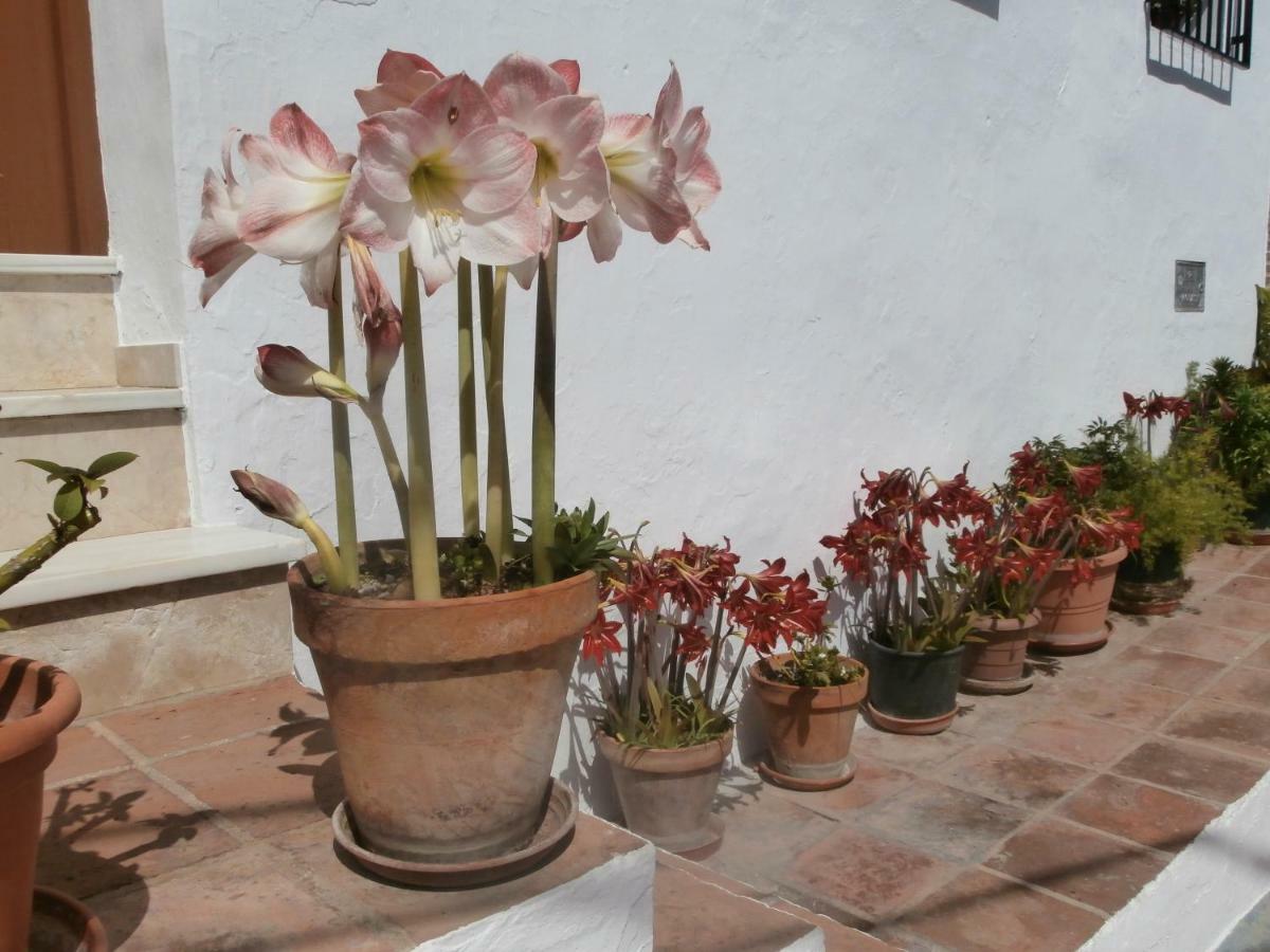 Casa Alta B&B Торокс Екстериор снимка